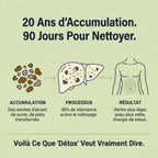 Complexe Detox Foie Lynerra